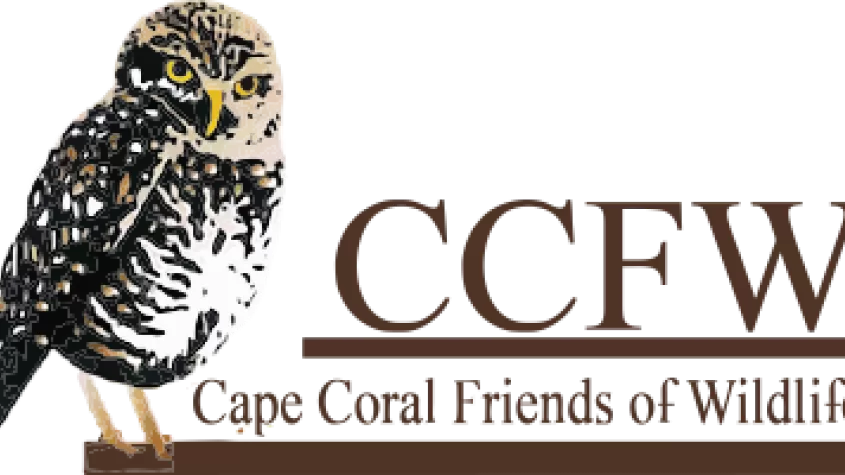 CCFW Logo