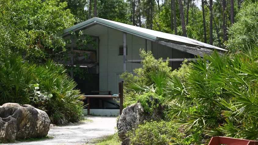 Bird Aviary