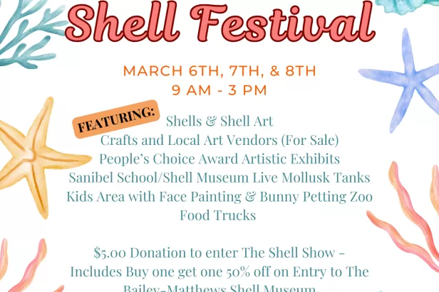 Shell Festival Flyer
